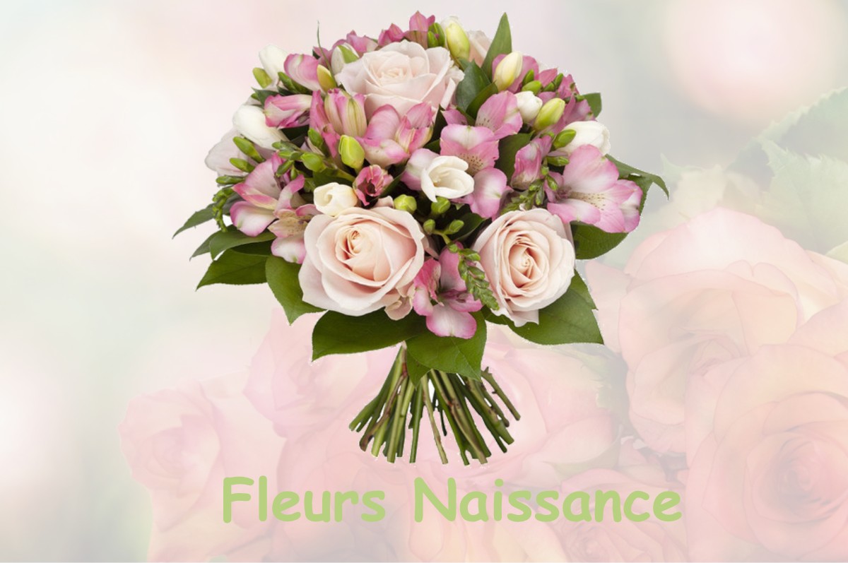 fleurs naissance COUFFY-SUR-SARSONNE